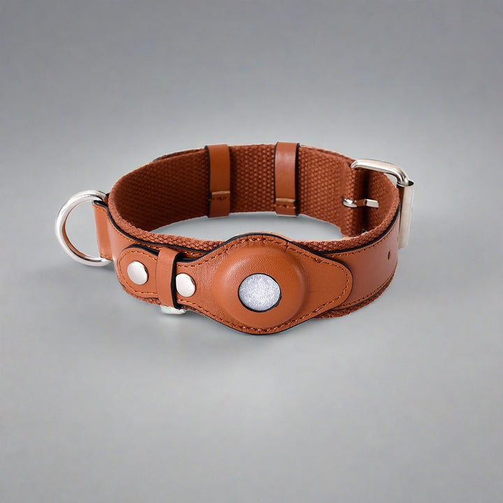   Anti-Lost Leather Pet Collar-Collar 