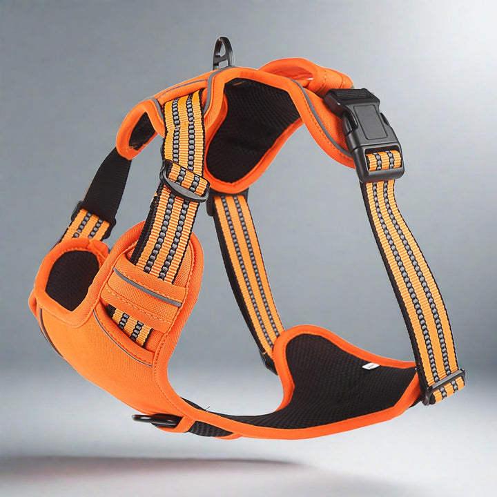   Dog Harness with Handle-Harness 