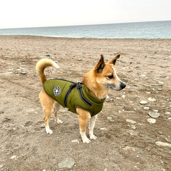   Waterproof Winter Dog Jacket With built-in Harness-Harness 