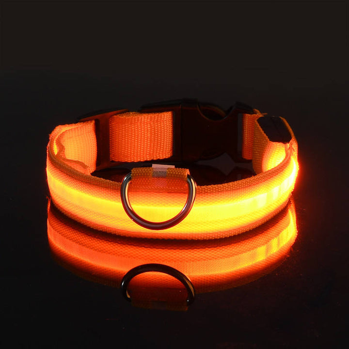   LumiPaws LED Safety Collar-Collar 