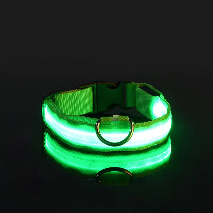   LumiPaws LED Safety Collar-Collar 
